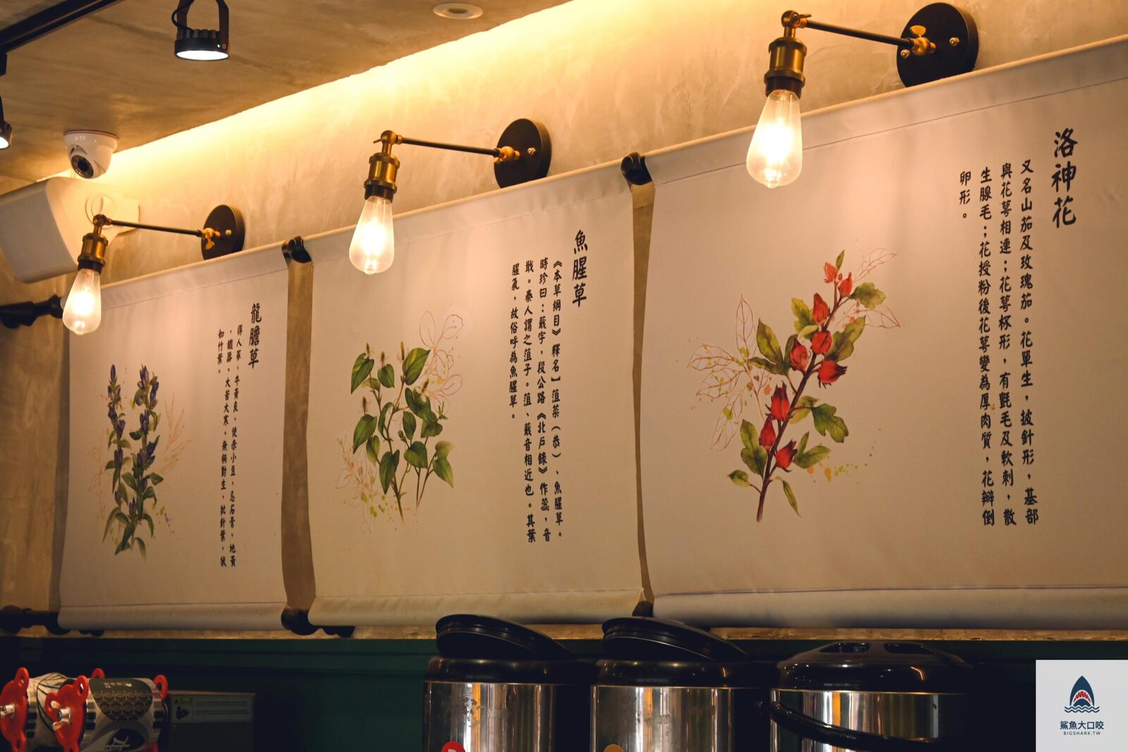 飲料,草本茶 @鯊魚大口咬 飲料,草本茶 @鯊魚大口咬