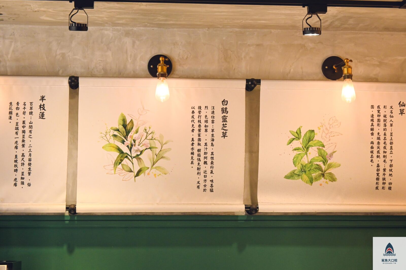 飲料,草本茶 @鯊魚大口咬 飲料,草本茶 @鯊魚大口咬