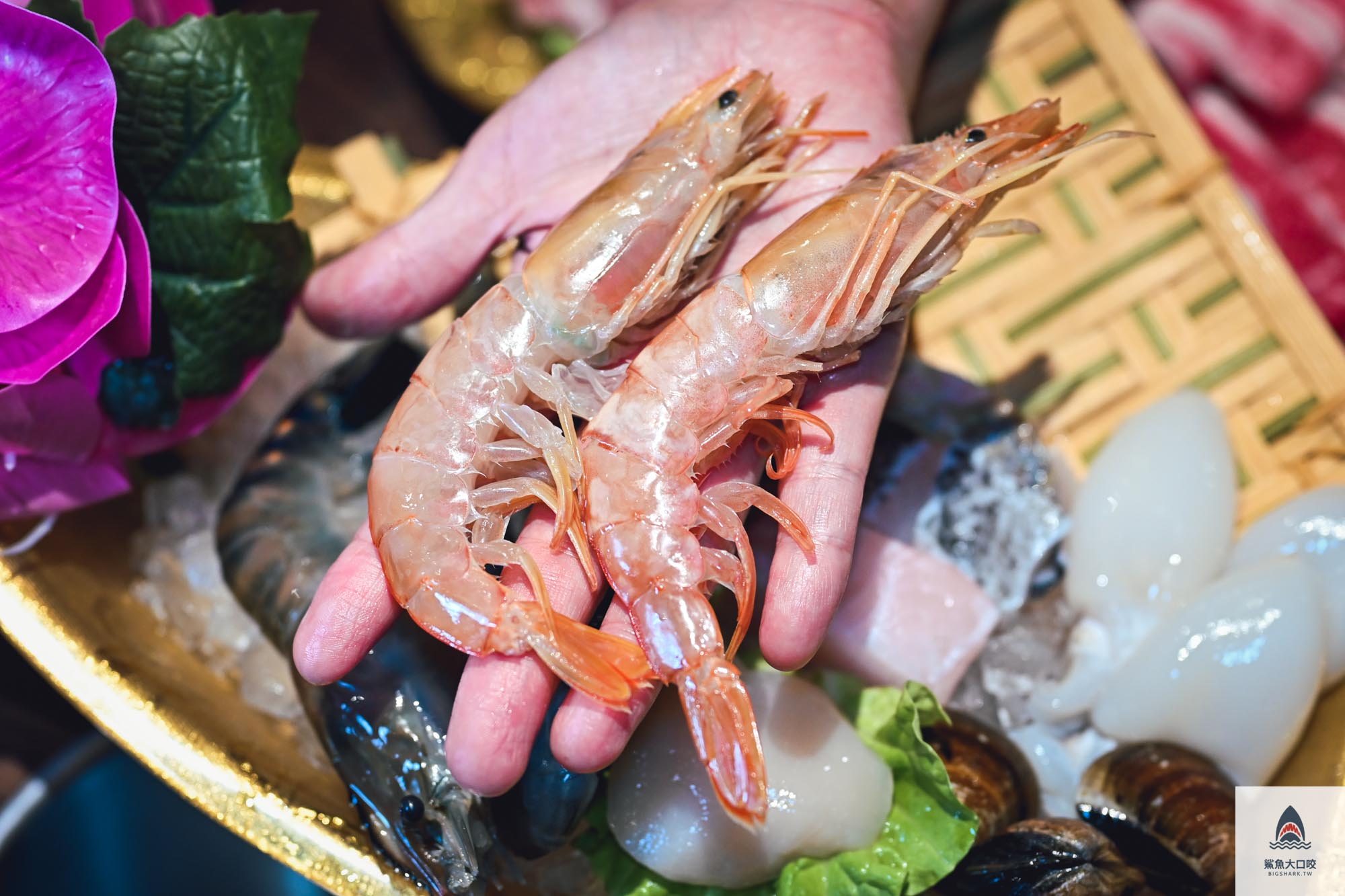 台中火鍋,北屯美食,台中燒瓶子,北屯燒瓶子 @鯊魚大口咬 台中火鍋,北屯美食,台中燒瓶子,北屯燒瓶子 @鯊魚大口咬