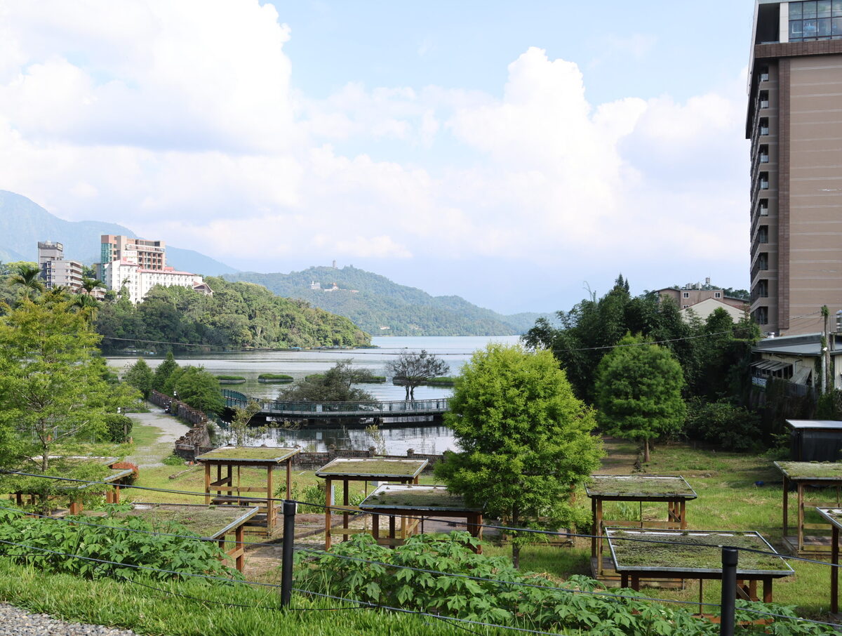 日月潭水社碼頭SUP,日月潭民宿,日月潭水社碼頭美食,畢瓦客潭中央SUP,日月潭花火節,日月潭住宿,日月潭午餐推薦,畢瓦客Biwak,日月潭畢瓦客一泊一食,日月潭SUP立式滑槳,日月潭美食,畢瓦客,日月潭sup,日月潭水社碼頭,畢瓦客露營區套裝行程,日月潭必吃美食,畢瓦客露營區水泥管屋 @鯊魚大口咬 日月潭水社碼頭SUP,日月潭民宿,日月潭水社碼頭美食,畢瓦客潭中央SUP,日月潭花火節,日月潭住宿,日月潭午餐推薦,畢瓦客Biwak,日月潭畢瓦客一泊一食,日月潭SUP立式滑槳,日月潭美食,畢瓦客,日月潭sup,日月潭水社碼頭,畢瓦客露營區套裝行程,日月潭必吃美食,畢瓦客露營區水泥管屋 @鯊魚大口咬