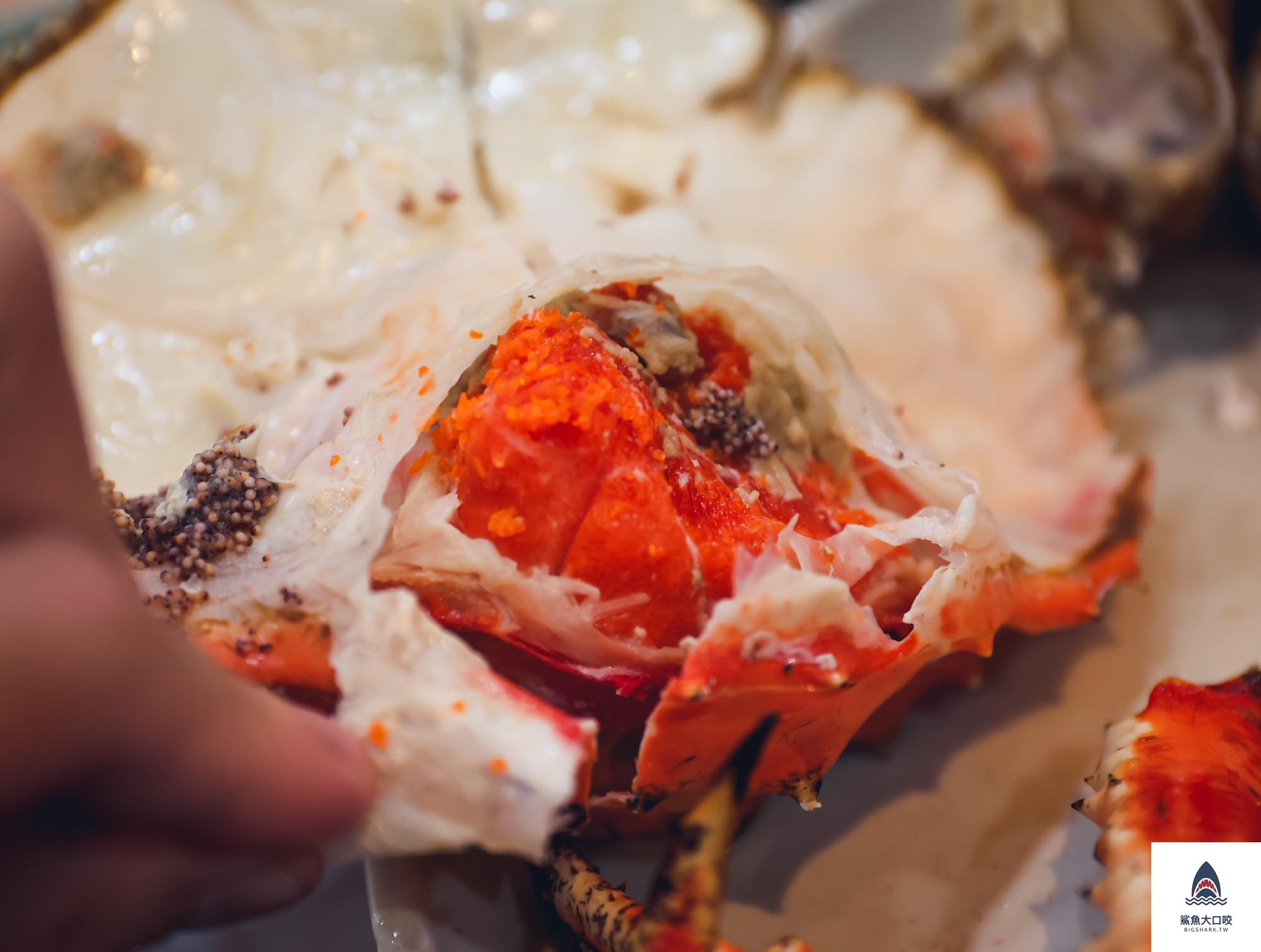 首爾帝王蟹,韓國帝王蟹,鷺梁津帝王蟹,首爾美食推薦,韓國美食推薦,鷺梁津水產市場 @鯊魚大口咬