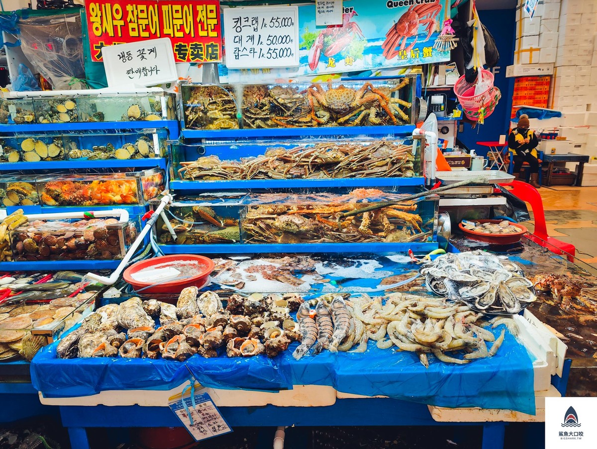 首爾帝王蟹,韓國帝王蟹,鷺梁津帝王蟹,首爾美食推薦,韓國美食推薦,鷺梁津水產市場 @鯊魚大口咬