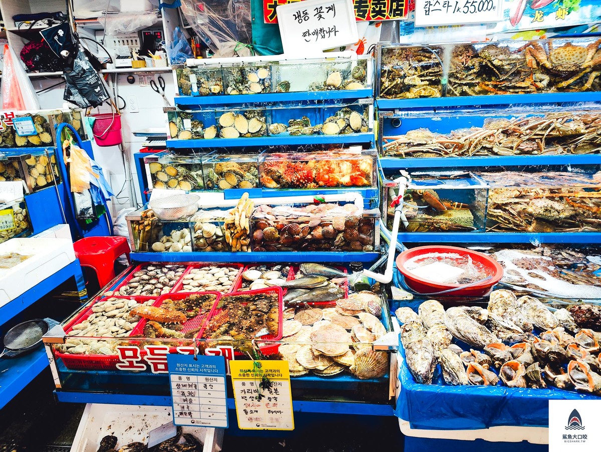 首爾帝王蟹,韓國帝王蟹,鷺梁津帝王蟹,首爾美食推薦,韓國美食推薦,鷺梁津水產市場 @鯊魚大口咬