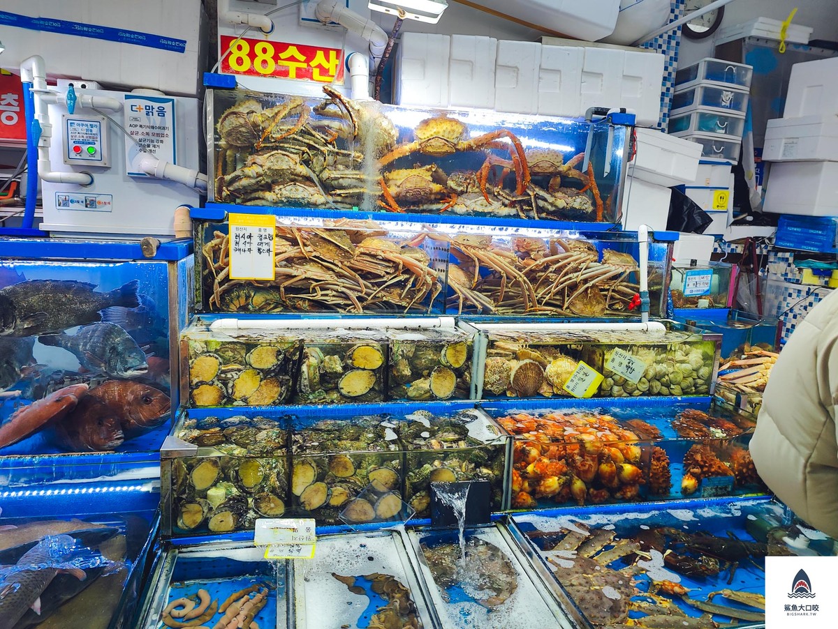 首爾帝王蟹,韓國帝王蟹,鷺梁津帝王蟹,首爾美食推薦,韓國美食推薦,鷺梁津水產市場 @鯊魚大口咬
