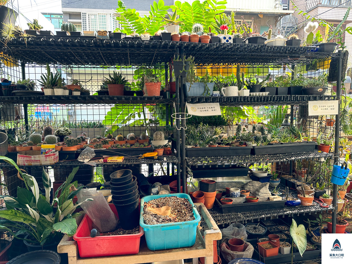 新竹餐廳,新竹美食,新竹傻瓜麵,新竹合菜,新竹桌菜,傻瓜麵創意料理 @鯊魚大口咬