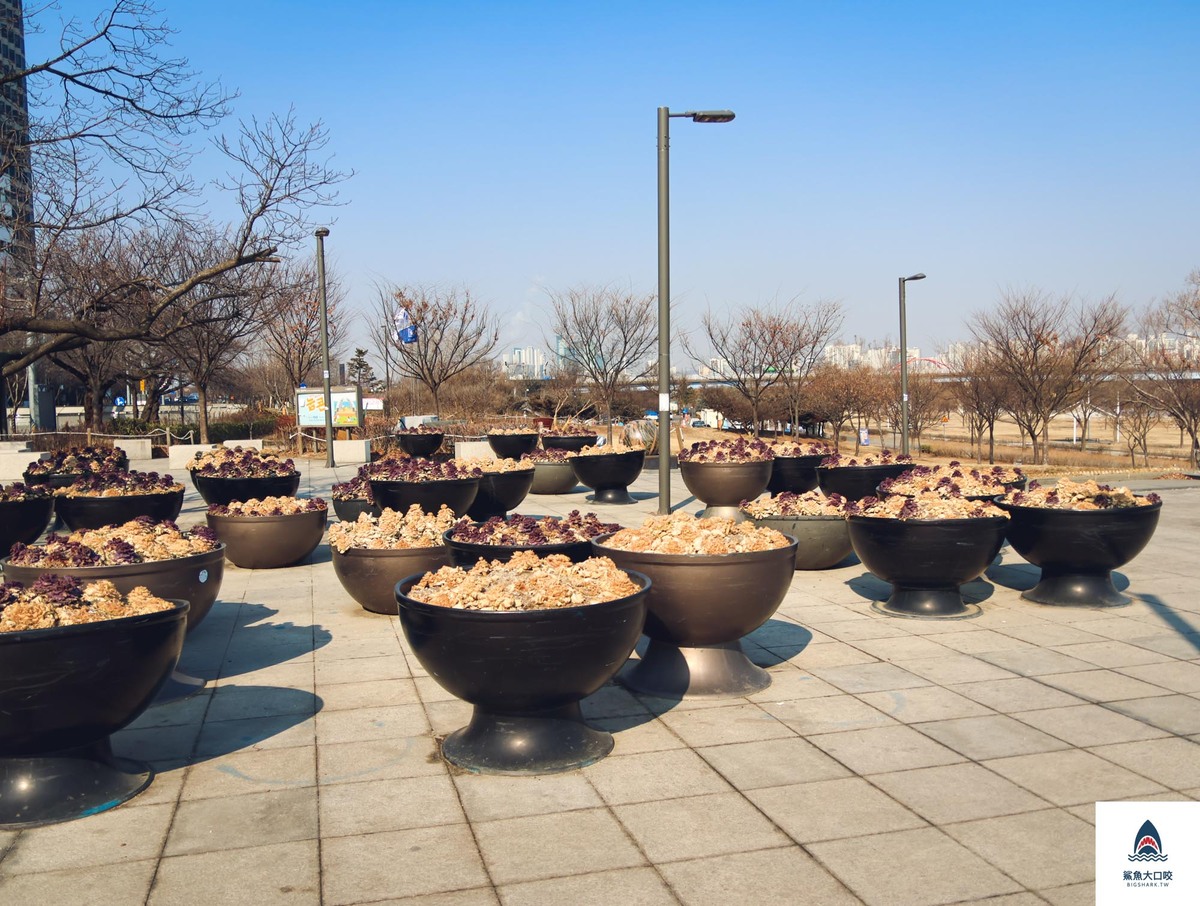 首爾旅遊,首爾必吃,漢江泡麵,首爾自助式泡麵,漢江自助式泡麵,首爾景點 @鯊魚大口咬