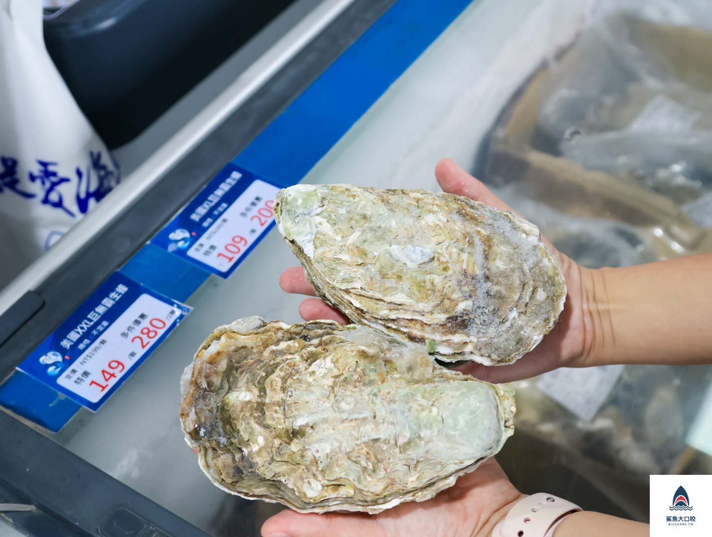 就是愛海鮮,彰化海鮮採購,彰化就是愛海鮮,彰化海鮮哪裡買,彰化肉品採購,彰化海鮮超市,彰化海鮮批發,彰化肉品批發 @鯊魚大口咬 就是愛海鮮,彰化海鮮採購,彰化就是愛海鮮,彰化海鮮哪裡買,彰化肉品採購,彰化海鮮超市,彰化海鮮批發,彰化肉品批發 @鯊魚大口咬