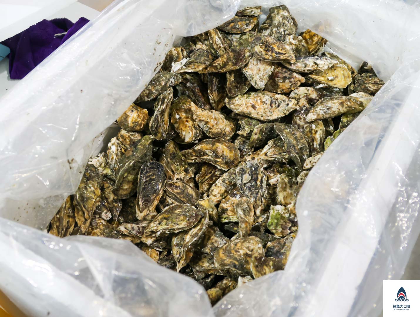 就是愛海鮮,彰化海鮮採購,彰化就是愛海鮮,彰化海鮮哪裡買,彰化肉品採購,彰化海鮮超市,彰化海鮮批發,彰化肉品批發 @鯊魚大口咬 就是愛海鮮,彰化海鮮採購,彰化就是愛海鮮,彰化海鮮哪裡買,彰化肉品採購,彰化海鮮超市,彰化海鮮批發,彰化肉品批發 @鯊魚大口咬