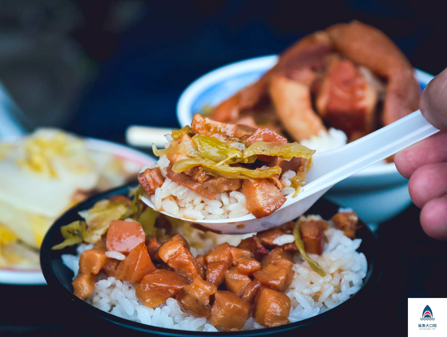 台中小吃,台中美食景點,台中爌肉飯,台中排隊店,台中沙鹿區,嘉控肉飯 @鯊魚大口咬