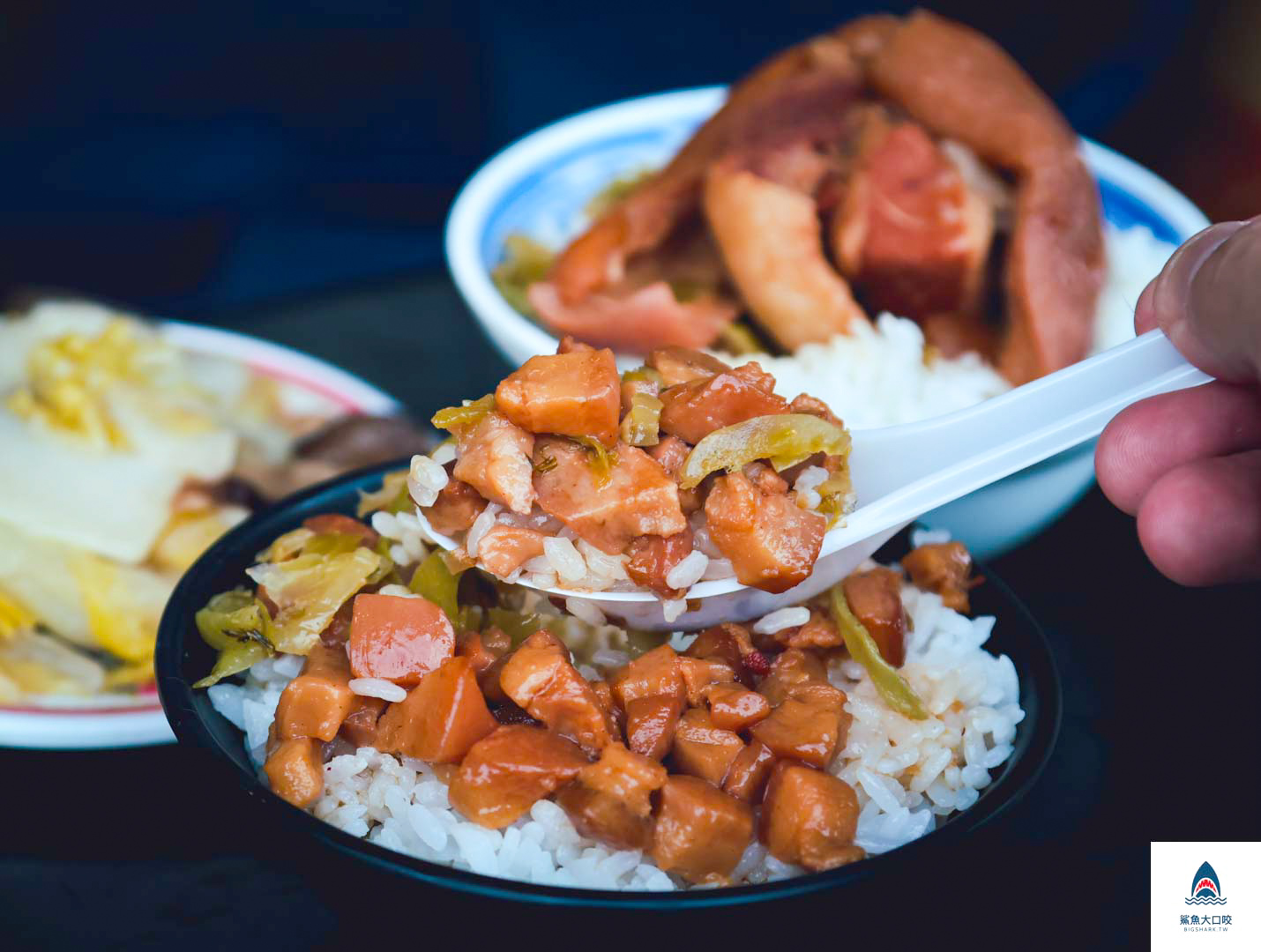台中小吃,台中美食景點,台中爌肉飯,台中排隊店,台中沙鹿區,嘉控肉飯 @鯊魚大口咬