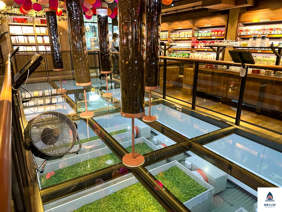 南投景點,喝喝茶,喝喝茶門票,南投喝喝茶,日月潭景點,魚池鄉景點,魚池喝喝茶 @鯊魚大口咬