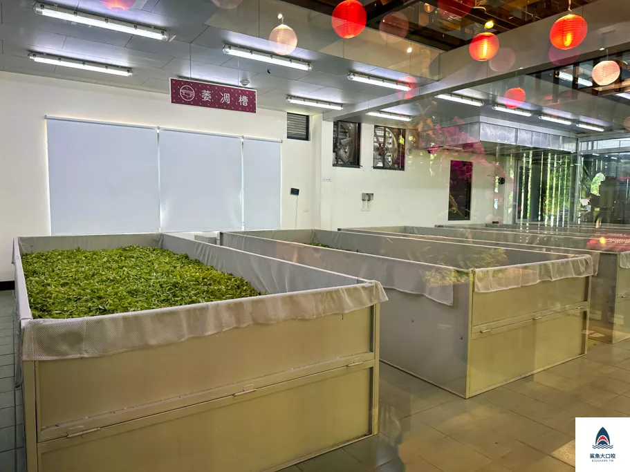 南投景點,喝喝茶,喝喝茶門票,南投喝喝茶,日月潭景點,魚池鄉景點,魚池喝喝茶 @鯊魚大口咬