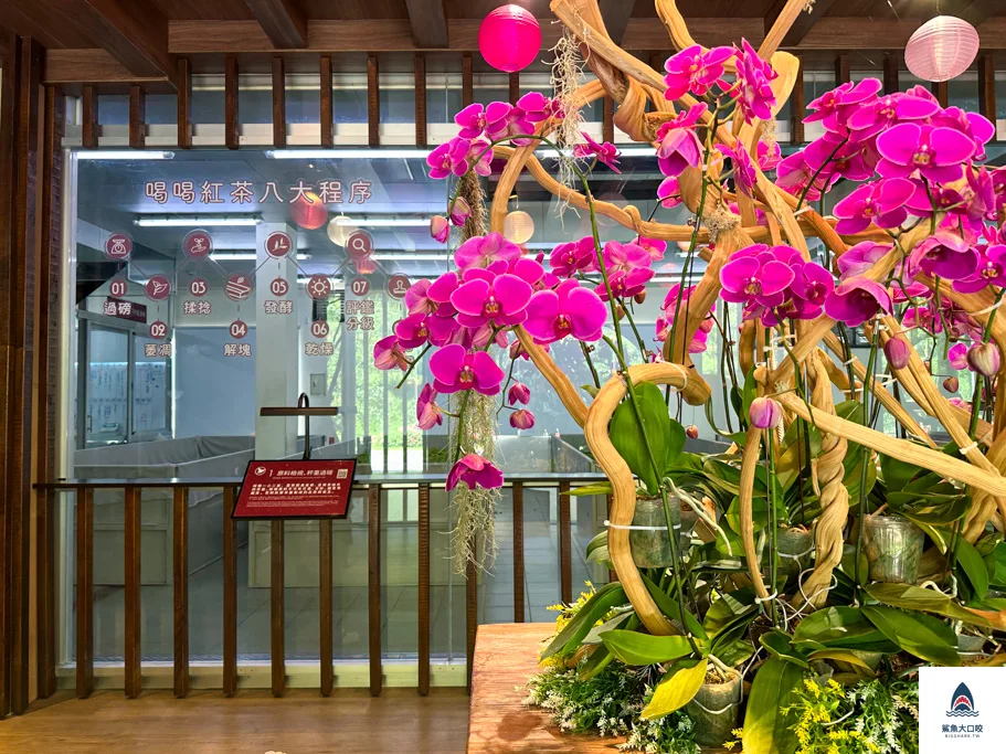 南投景點,喝喝茶,喝喝茶門票,南投喝喝茶,日月潭景點,魚池鄉景點,魚池喝喝茶 @鯊魚大口咬