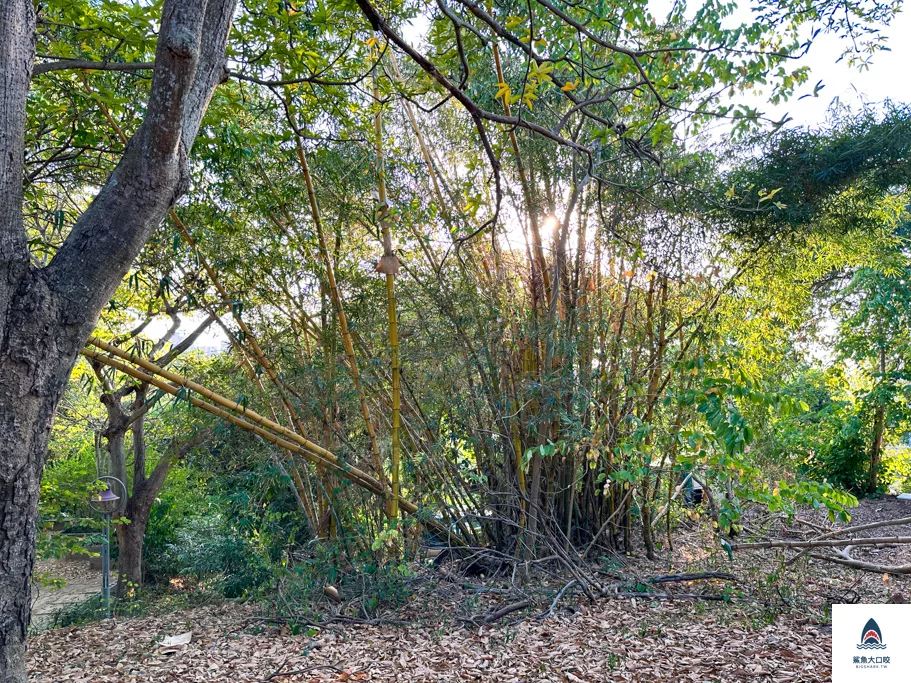 彰化公園推薦,彰化親子景點推薦,彰化華陽公園,華陽公園,彰化景點推薦 @鯊魚大口咬 彰化公園推薦,彰化親子景點推薦,彰化華陽公園,華陽公園,彰化景點推薦 @鯊魚大口咬