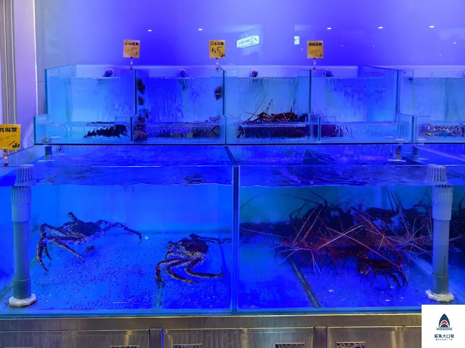 碳所音樂餐廳,碳所音樂餐廳菜單 @鯊魚大口咬