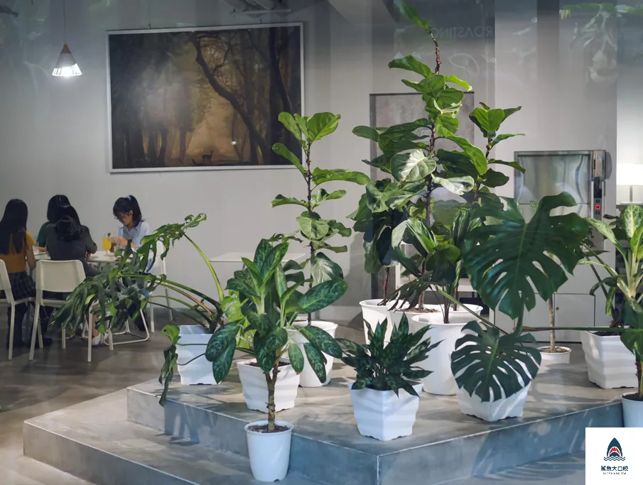 有片森林植一座咖啡館菜單,有片森林植一座咖啡館環境,化景點,有片森林植一座咖啡館蛋糕,彰化美食,有片森林植一座咖啡館網美,彰化下午茶,彰化網美咖啡館,彰化約會景點,彰化喝咖啡,彰化咖啡館,彰化旅遊,有片森林植一座咖啡館交通方式,彰化旅行,有片森林植一座咖啡館停車資訊,彰化有片森林,有片森林植一座咖啡館好拍嗎,有片森林植一座咖啡館 @鯊魚大口咬