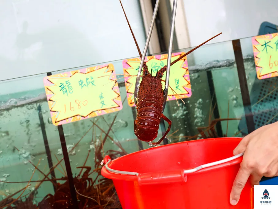 鮮滿樓海鮮料理,鮮滿樓海鮮料理菜單 @鯊魚大口咬