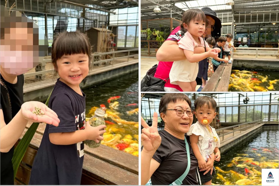 金車礁溪蘭花園附設動植物生態館,宜蘭景點推薦,礁溪景點推薦,礁溪親子景點,宜蘭親子景點 @鯊魚大口咬 金車礁溪蘭花園附設動植物生態館,宜蘭景點推薦,礁溪景點推薦,礁溪親子景點,宜蘭親子景點 @鯊魚大口咬