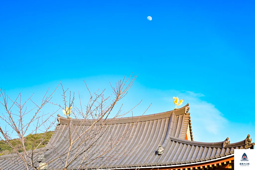 關西景點推薦,宇治景點,京都景點,宇治平等院 @鯊魚大口咬