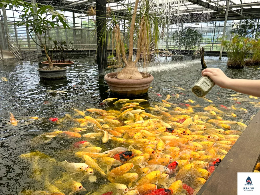 金車礁溪蘭花園附設動植物生態館,宜蘭景點推薦,礁溪景點推薦,礁溪親子景點,宜蘭親子景點 @鯊魚大口咬 金車礁溪蘭花園附設動植物生態館,宜蘭景點推薦,礁溪景點推薦,礁溪親子景點,宜蘭親子景點 @鯊魚大口咬