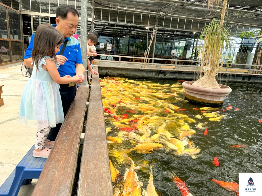 金車礁溪蘭花園附設動植物生態館,宜蘭景點推薦,礁溪景點推薦,礁溪親子景點,宜蘭親子景點 @鯊魚大口咬 金車礁溪蘭花園附設動植物生態館,宜蘭景點推薦,礁溪景點推薦,礁溪親子景點,宜蘭親子景點 @鯊魚大口咬