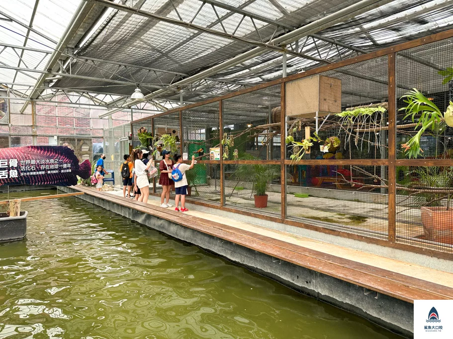 金車礁溪蘭花園附設動植物生態館,宜蘭景點推薦,礁溪景點推薦,礁溪親子景點,宜蘭親子景點 @鯊魚大口咬 金車礁溪蘭花園附設動植物生態館,宜蘭景點推薦,礁溪景點推薦,礁溪親子景點,宜蘭親子景點 @鯊魚大口咬