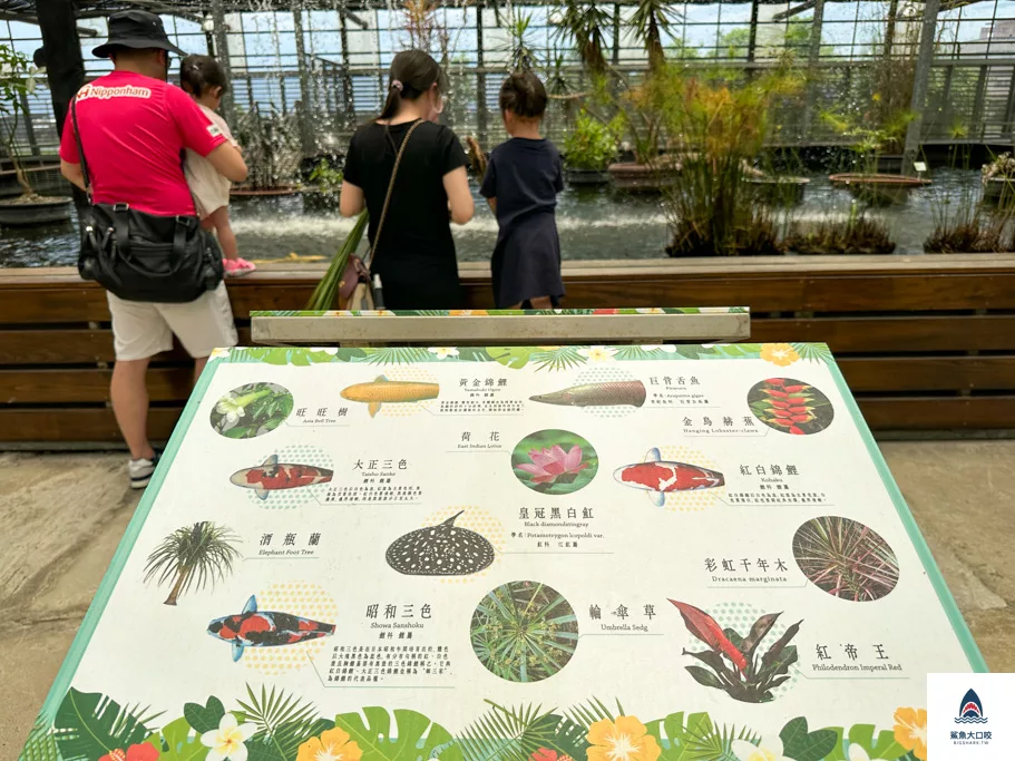 金車礁溪蘭花園附設動植物生態館,宜蘭景點推薦,礁溪景點推薦,礁溪親子景點,宜蘭親子景點 @鯊魚大口咬 金車礁溪蘭花園附設動植物生態館,宜蘭景點推薦,礁溪景點推薦,礁溪親子景點,宜蘭親子景點 @鯊魚大口咬