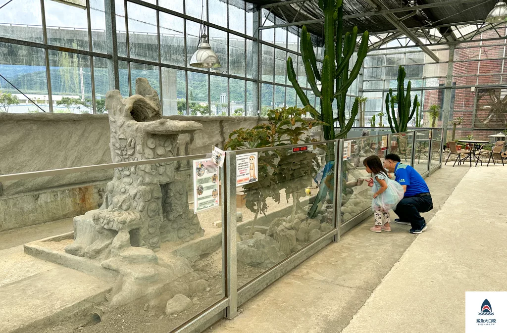 金車礁溪蘭花園附設動植物生態館,宜蘭景點推薦,礁溪景點推薦,礁溪親子景點,宜蘭親子景點 @鯊魚大口咬 金車礁溪蘭花園附設動植物生態館,宜蘭景點推薦,礁溪景點推薦,礁溪親子景點,宜蘭親子景點 @鯊魚大口咬
