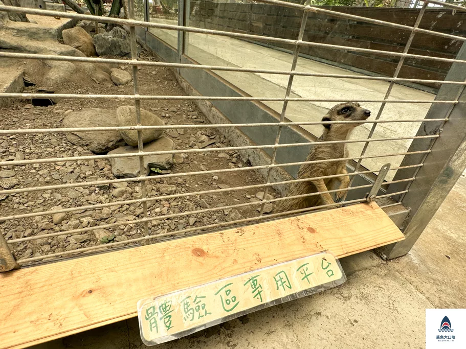 金車礁溪蘭花園附設動植物生態館,宜蘭景點推薦,礁溪景點推薦,礁溪親子景點,宜蘭親子景點 @鯊魚大口咬 金車礁溪蘭花園附設動植物生態館,宜蘭景點推薦,礁溪景點推薦,礁溪親子景點,宜蘭親子景點 @鯊魚大口咬