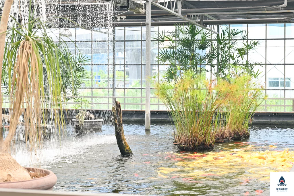 金車礁溪蘭花園附設動植物生態館,宜蘭景點推薦,礁溪景點推薦,礁溪親子景點,宜蘭親子景點 @鯊魚大口咬 金車礁溪蘭花園附設動植物生態館,宜蘭景點推薦,礁溪景點推薦,礁溪親子景點,宜蘭親子景點 @鯊魚大口咬