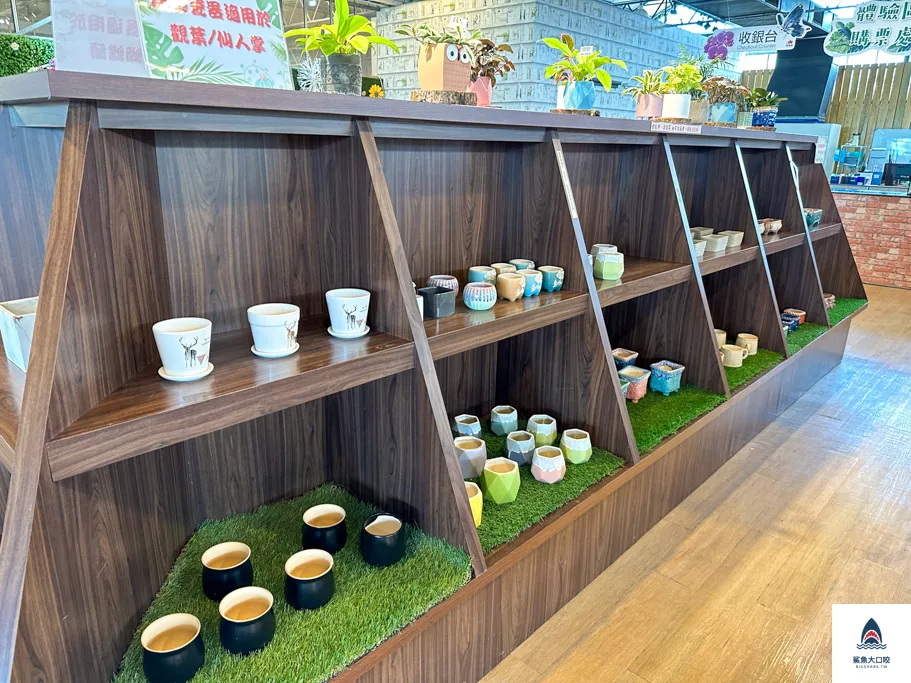 金車礁溪蘭花園附設動植物生態館,宜蘭景點推薦,礁溪景點推薦,礁溪親子景點,宜蘭親子景點 @鯊魚大口咬 金車礁溪蘭花園附設動植物生態館,宜蘭景點推薦,礁溪景點推薦,礁溪親子景點,宜蘭親子景點 @鯊魚大口咬