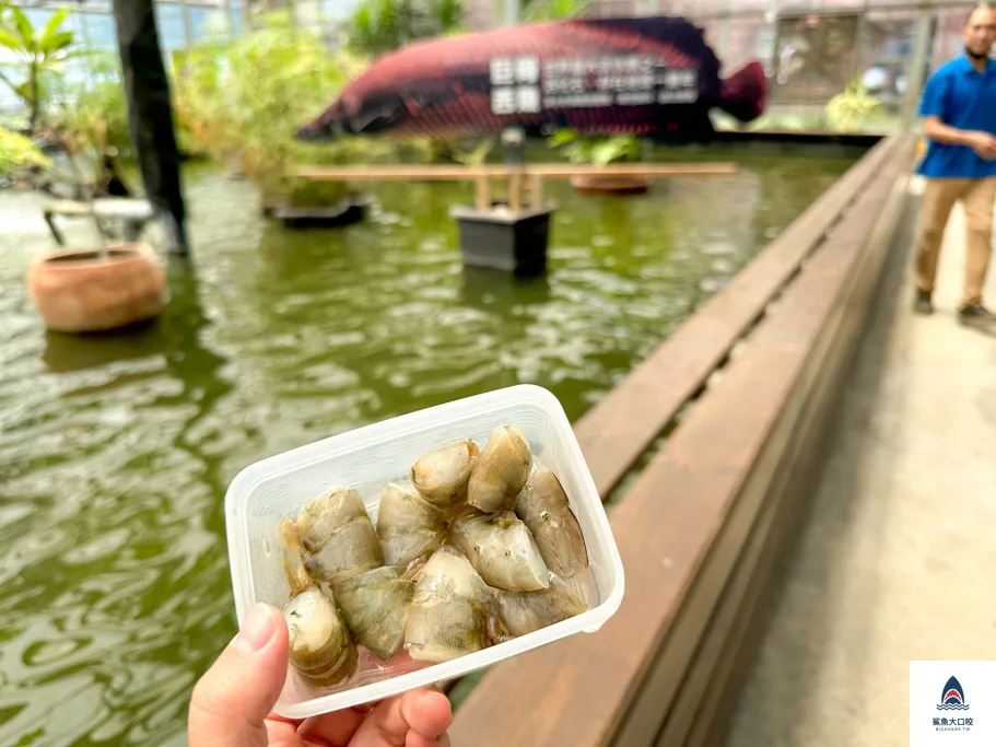 金車礁溪蘭花園附設動植物生態館,宜蘭景點推薦,礁溪景點推薦,礁溪親子景點,宜蘭親子景點 @鯊魚大口咬 金車礁溪蘭花園附設動植物生態館,宜蘭景點推薦,礁溪景點推薦,礁溪親子景點,宜蘭親子景點 @鯊魚大口咬