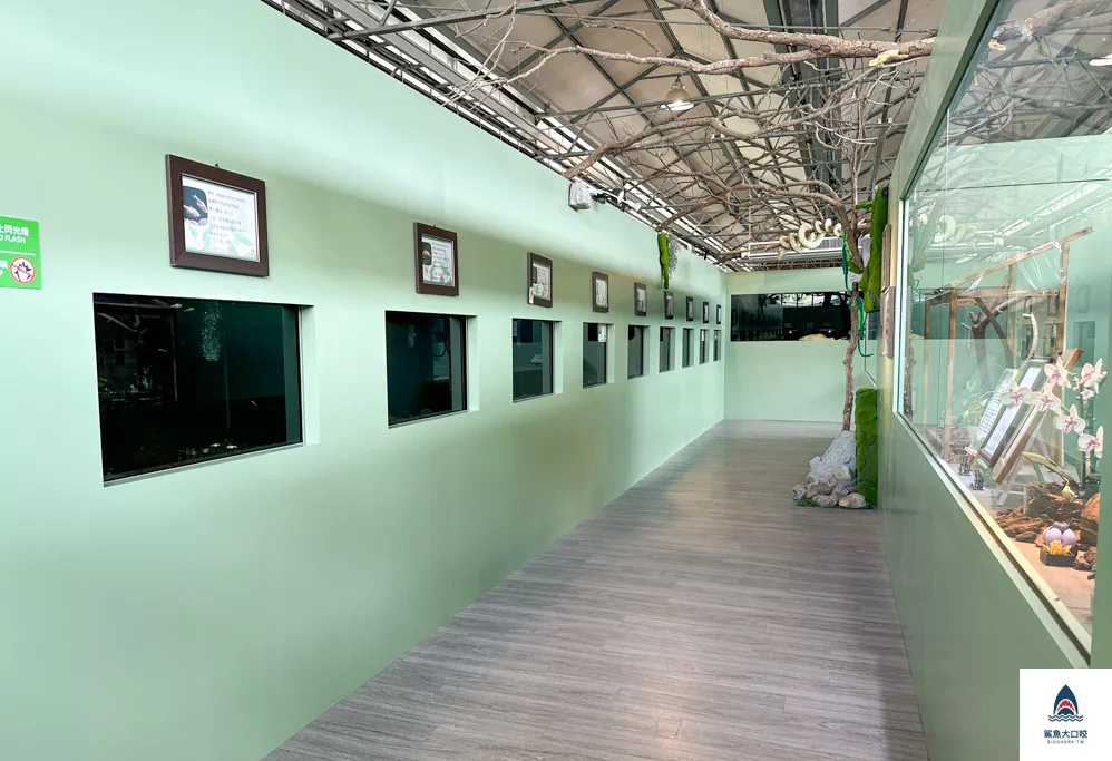 金車礁溪蘭花園附設動植物生態館,宜蘭景點推薦,礁溪景點推薦,礁溪親子景點,宜蘭親子景點 @鯊魚大口咬 金車礁溪蘭花園附設動植物生態館,宜蘭景點推薦,礁溪景點推薦,礁溪親子景點,宜蘭親子景點 @鯊魚大口咬