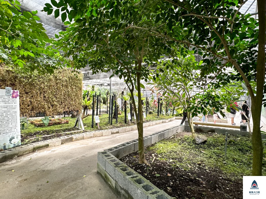 金車礁溪蘭花園附設動植物生態館,宜蘭景點推薦,礁溪景點推薦,礁溪親子景點,宜蘭親子景點 @鯊魚大口咬 金車礁溪蘭花園附設動植物生態館,宜蘭景點推薦,礁溪景點推薦,礁溪親子景點,宜蘭親子景點 @鯊魚大口咬
