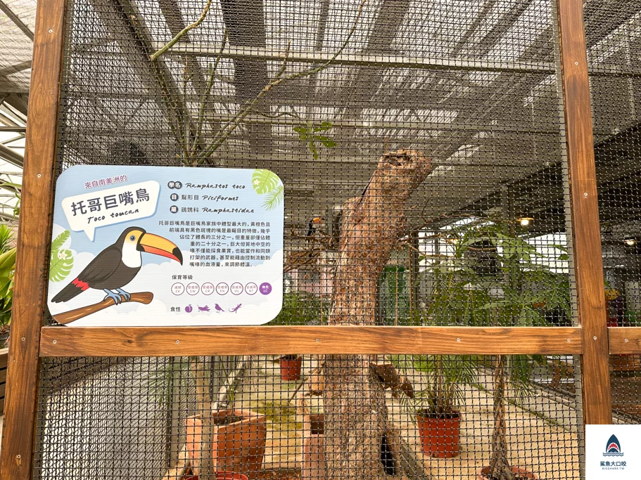 金車礁溪蘭花園附設動植物生態館,宜蘭景點推薦,礁溪景點推薦,礁溪親子景點,宜蘭親子景點 @鯊魚大口咬 金車礁溪蘭花園附設動植物生態館,宜蘭景點推薦,礁溪景點推薦,礁溪親子景點,宜蘭親子景點 @鯊魚大口咬