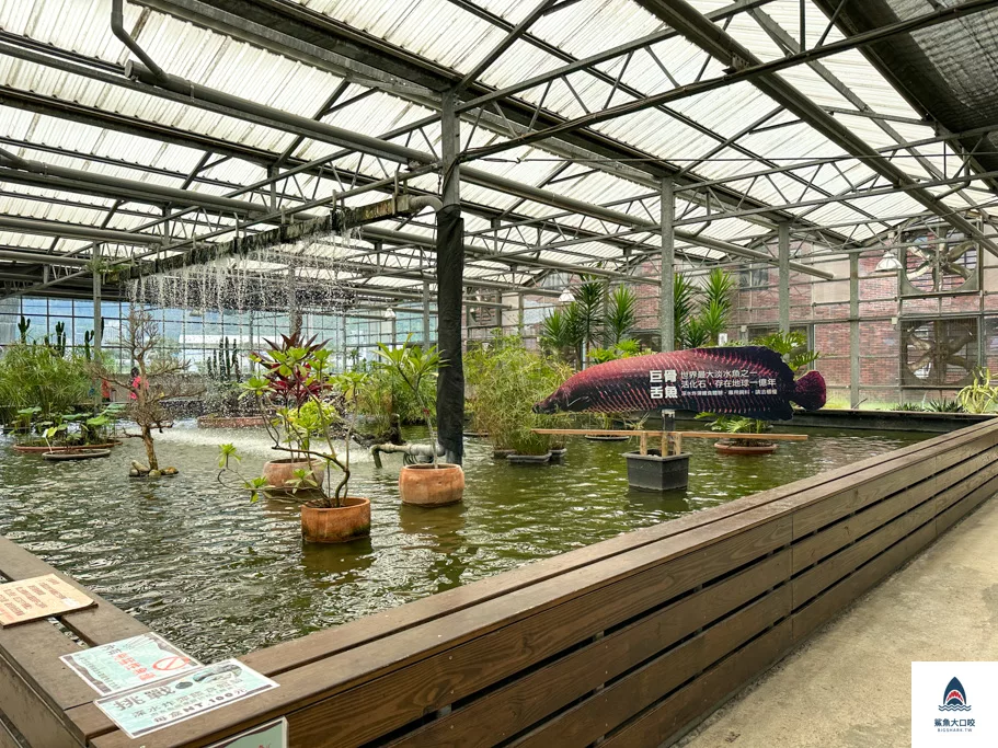 金車礁溪蘭花園附設動植物生態館,宜蘭景點推薦,礁溪景點推薦,礁溪親子景點,宜蘭親子景點 @鯊魚大口咬 金車礁溪蘭花園附設動植物生態館,宜蘭景點推薦,礁溪景點推薦,礁溪親子景點,宜蘭親子景點 @鯊魚大口咬