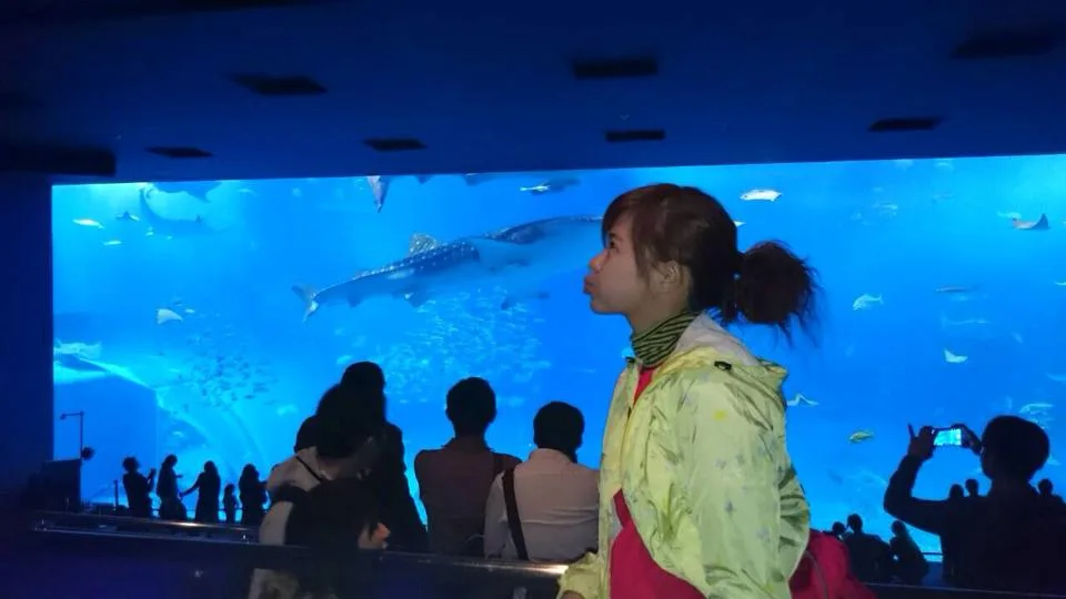 沖繩水族館,沖繩美麗海水族館,沖繩海洋博公園,沖繩必去,沖繩必玩,沖繩美麗海水族館門票,沖繩景點推薦 @鯊魚大口咬 沖繩水族館,沖繩美麗海水族館,沖繩海洋博公園,沖繩必去,沖繩必玩,沖繩美麗海水族館門票,沖繩景點推薦 @鯊魚大口咬