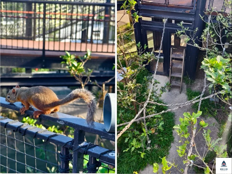 沖繩動物園,沖繩兒童王國門票,沖繩兒童王國交通,沖繩親子景點,沖繩景點推薦,沖繩兒童王國 @鯊魚大口咬 沖繩動物園,沖繩兒童王國門票,沖繩兒童王國交通,沖繩親子景點,沖繩景點推薦,沖繩兒童王國 @鯊魚大口咬