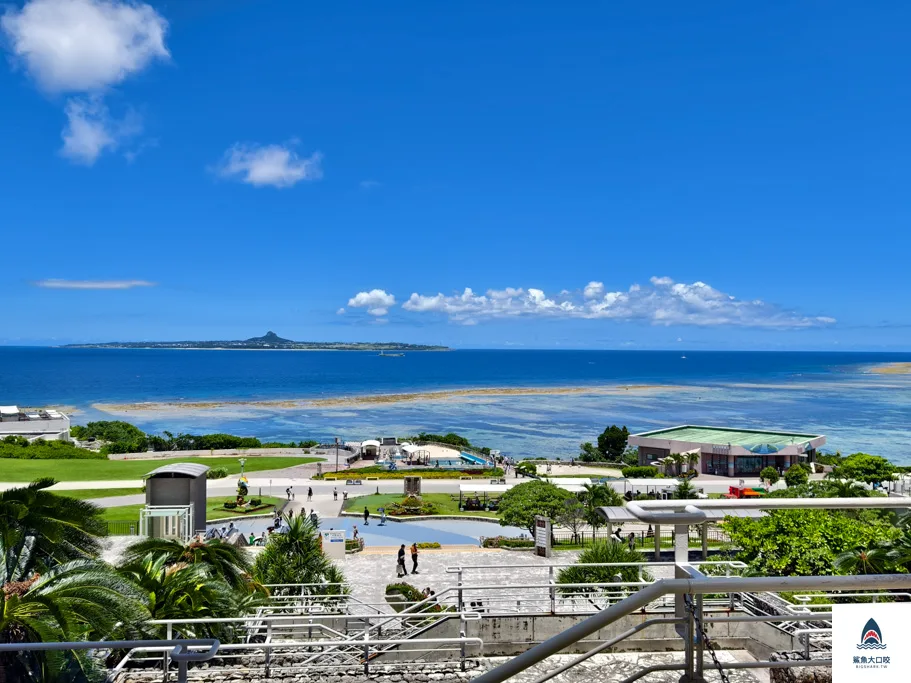 沖繩水族館,沖繩美麗海水族館,沖繩海洋博公園,沖繩必去,沖繩必玩,沖繩美麗海水族館門票,沖繩景點推薦 @鯊魚大口咬 沖繩水族館,沖繩美麗海水族館,沖繩海洋博公園,沖繩必去,沖繩必玩,沖繩美麗海水族館門票,沖繩景點推薦 @鯊魚大口咬