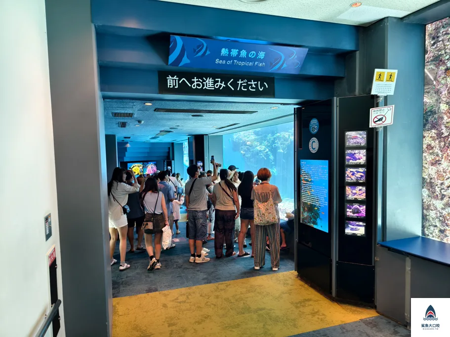 沖繩水族館,沖繩美麗海水族館,沖繩海洋博公園,沖繩必去,沖繩必玩,沖繩美麗海水族館門票,沖繩景點推薦 @鯊魚大口咬 沖繩水族館,沖繩美麗海水族館,沖繩海洋博公園,沖繩必去,沖繩必玩,沖繩美麗海水族館門票,沖繩景點推薦 @鯊魚大口咬