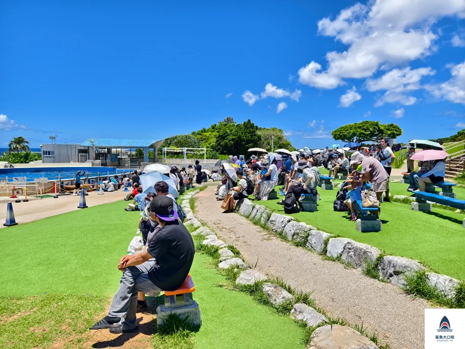 沖繩水族館,沖繩美麗海水族館,沖繩海洋博公園,沖繩必去,沖繩必玩,沖繩美麗海水族館門票,沖繩景點推薦 @鯊魚大口咬