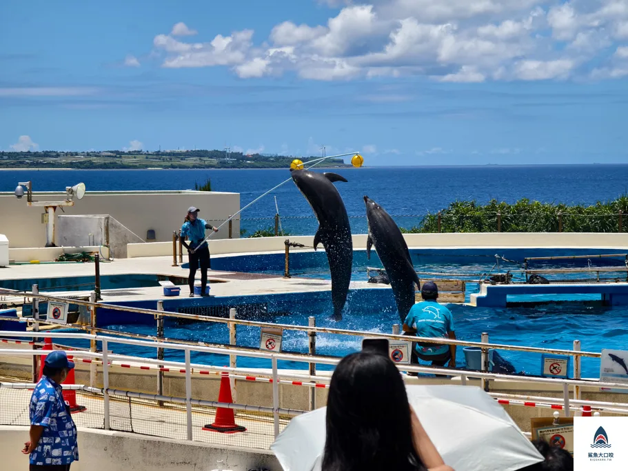 沖繩水族館,沖繩美麗海水族館,沖繩海洋博公園,沖繩必去,沖繩必玩,沖繩美麗海水族館門票,沖繩景點推薦 @鯊魚大口咬 沖繩水族館,沖繩美麗海水族館,沖繩海洋博公園,沖繩必去,沖繩必玩,沖繩美麗海水族館門票,沖繩景點推薦 @鯊魚大口咬