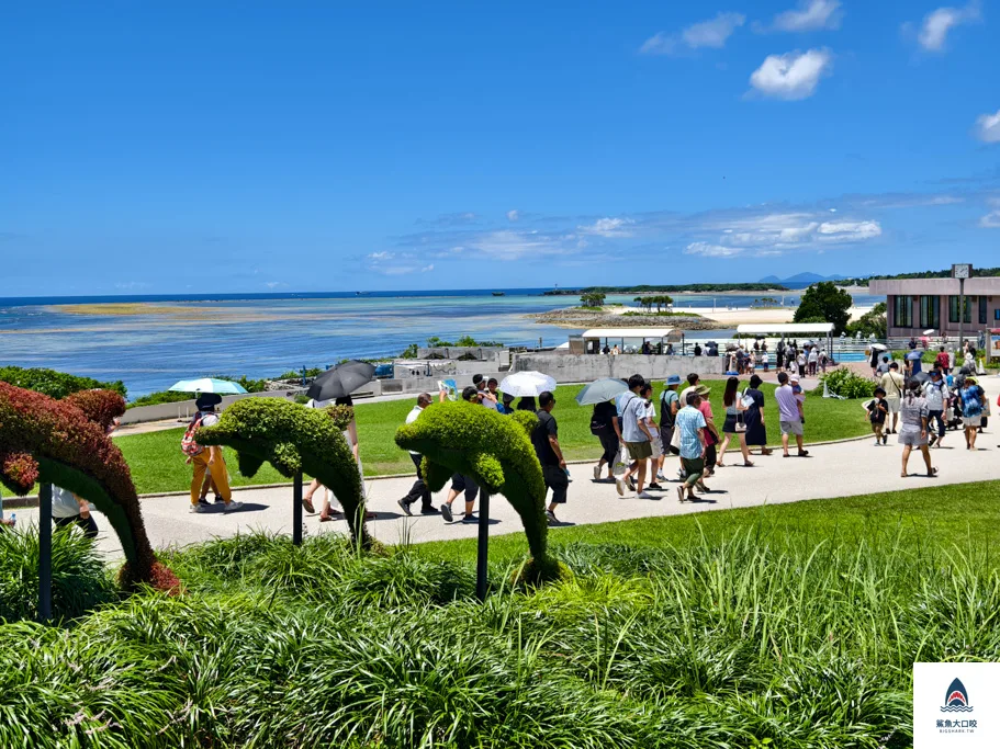 沖繩水族館,沖繩美麗海水族館,沖繩海洋博公園,沖繩必去,沖繩必玩,沖繩美麗海水族館門票,沖繩景點推薦 @鯊魚大口咬 沖繩水族館,沖繩美麗海水族館,沖繩海洋博公園,沖繩必去,沖繩必玩,沖繩美麗海水族館門票,沖繩景點推薦 @鯊魚大口咬
