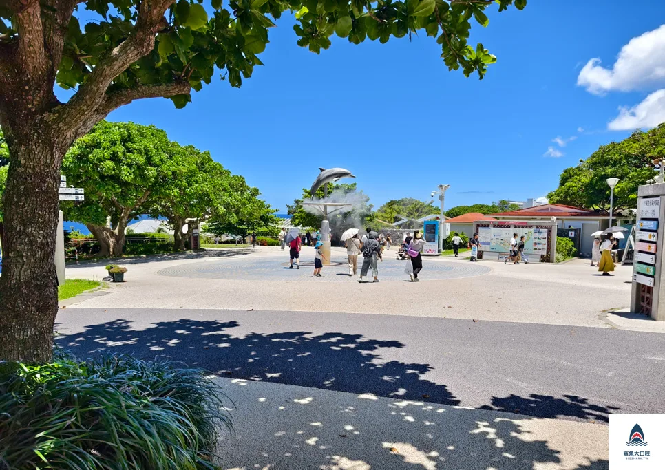 沖繩水族館,沖繩美麗海水族館,沖繩海洋博公園,沖繩必去,沖繩必玩,沖繩美麗海水族館門票,沖繩景點推薦 @鯊魚大口咬 沖繩水族館,沖繩美麗海水族館,沖繩海洋博公園,沖繩必去,沖繩必玩,沖繩美麗海水族館門票,沖繩景點推薦 @鯊魚大口咬
