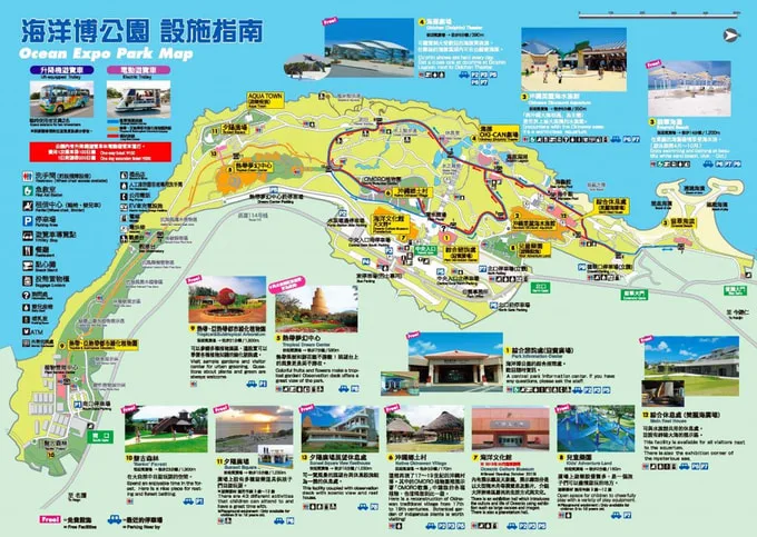 沖繩水族館,沖繩美麗海水族館,沖繩海洋博公園,沖繩必去,沖繩必玩,沖繩美麗海水族館門票,沖繩景點推薦 @鯊魚大口咬 沖繩水族館,沖繩美麗海水族館,沖繩海洋博公園,沖繩必去,沖繩必玩,沖繩美麗海水族館門票,沖繩景點推薦 @鯊魚大口咬