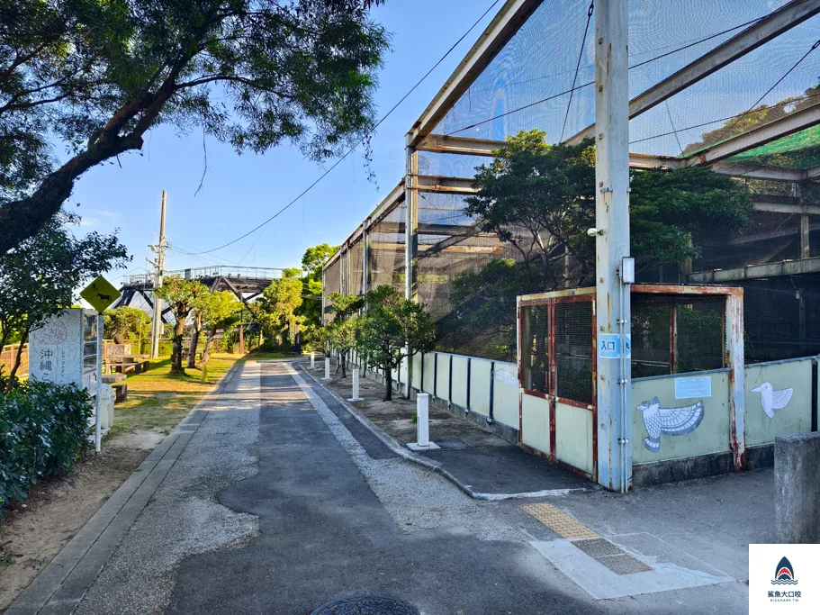沖繩動物園,沖繩兒童王國門票,沖繩兒童王國交通,沖繩親子景點,沖繩景點推薦,沖繩兒童王國 @鯊魚大口咬