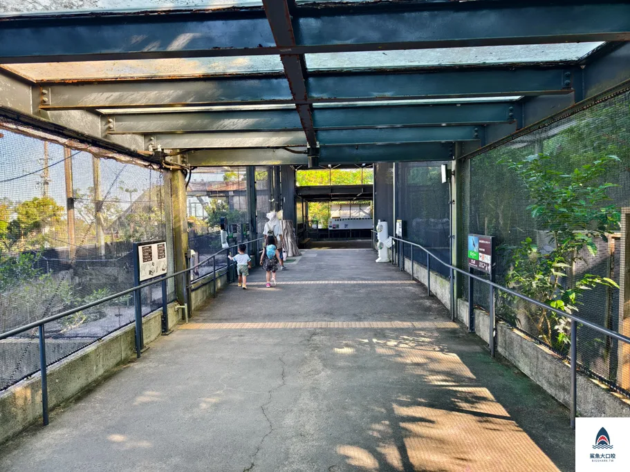 沖繩動物園,沖繩兒童王國門票,沖繩兒童王國交通,沖繩親子景點,沖繩景點推薦,沖繩兒童王國 @鯊魚大口咬