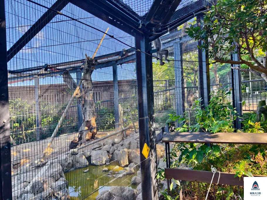 沖繩動物園,沖繩兒童王國門票,沖繩兒童王國交通,沖繩親子景點,沖繩景點推薦,沖繩兒童王國 @鯊魚大口咬