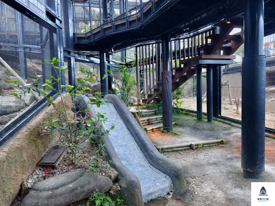 沖繩動物園,沖繩兒童王國門票,沖繩兒童王國交通,沖繩親子景點,沖繩景點推薦,沖繩兒童王國 @鯊魚大口咬 沖繩動物園,沖繩兒童王國門票,沖繩兒童王國交通,沖繩親子景點,沖繩景點推薦,沖繩兒童王國 @鯊魚大口咬