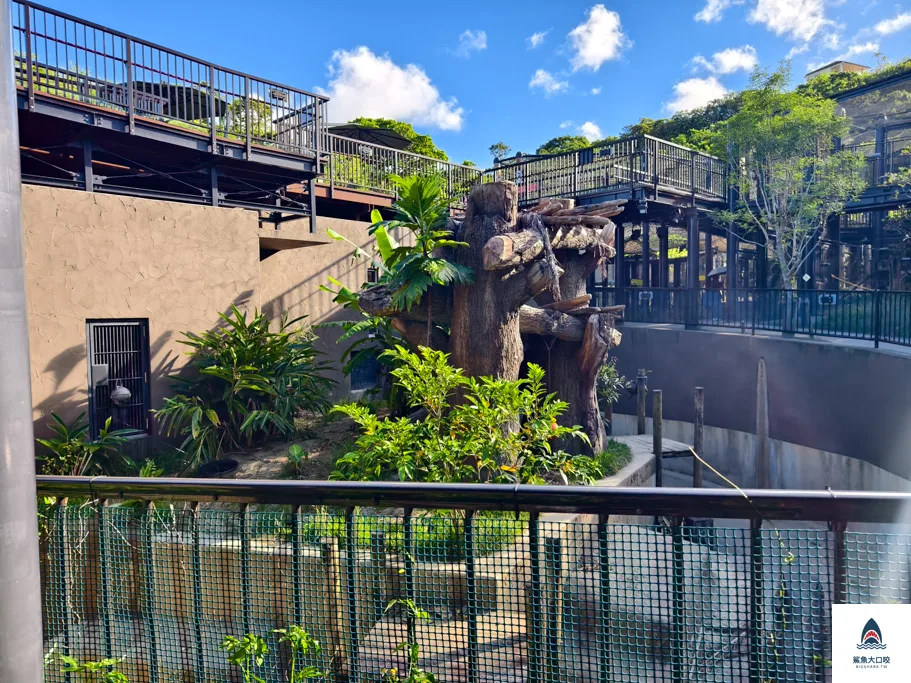 沖繩動物園,沖繩兒童王國門票,沖繩兒童王國交通,沖繩親子景點,沖繩景點推薦,沖繩兒童王國 @鯊魚大口咬 沖繩動物園,沖繩兒童王國門票,沖繩兒童王國交通,沖繩親子景點,沖繩景點推薦,沖繩兒童王國 @鯊魚大口咬